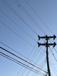 a bird sits on a telephone wire, the sky is blue